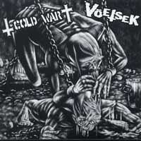 Cold War / Voetsek Split 7"
