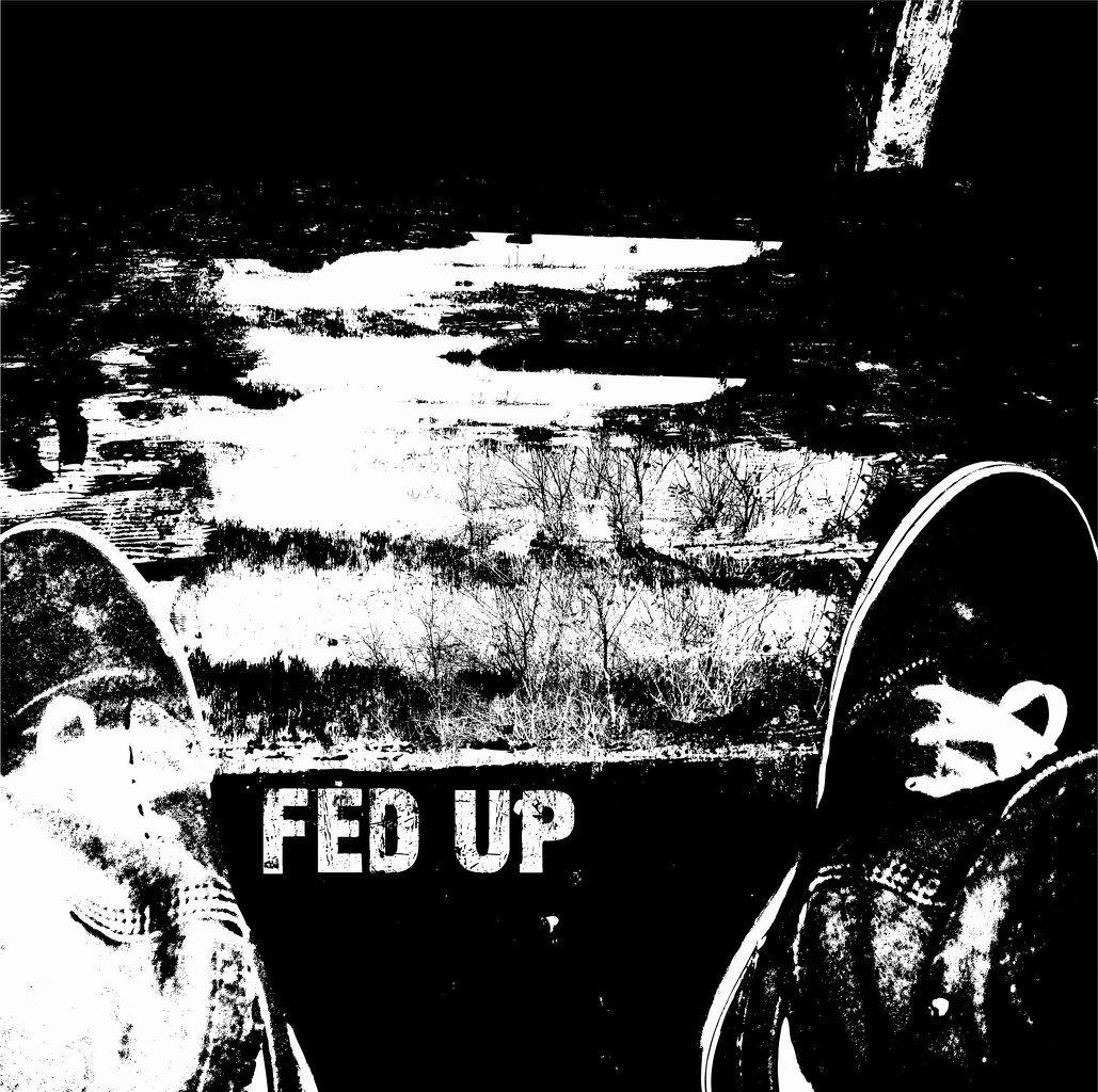 Fed Up- S/T 7"