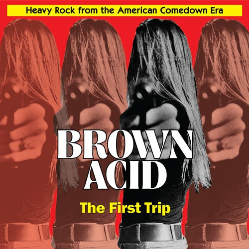 Brown Acid- The First Trip Compilation LP
