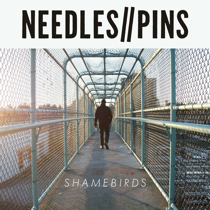 Needles//Pins- Shamebirds LP