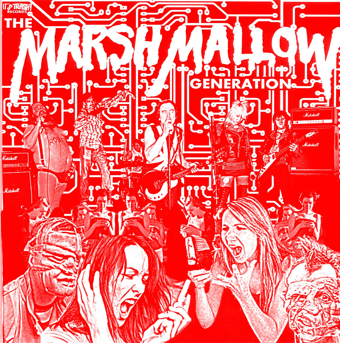 The Marshmallow Generation Compilation LP