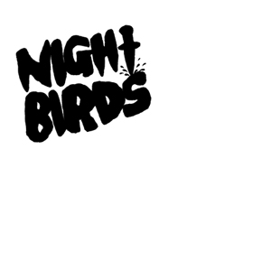 Night Birds- S/T 7"