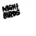 Night Birds- S/T 7"