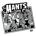 The Mants- Destroyed By Fuzz 7"
