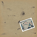 Estrogen Highs- Tell it to them LP