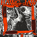 Hawg Jaw- Believe Nothing LP